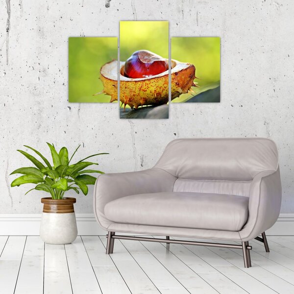 Tablou cu castani (90x60 cm)
