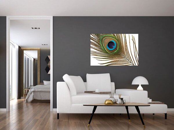 Tablou cu pene de păun (90x60 cm)
