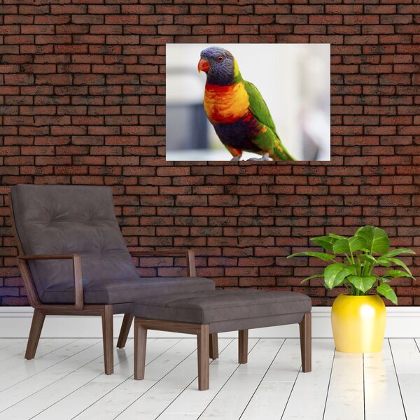 Tablou cu papagal (70x50 cm)