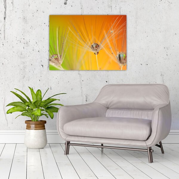 Tablou cu picături pe plantă (70x50 cm)