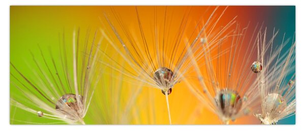 Tablou cu picături pe plantă (120x50 cm)