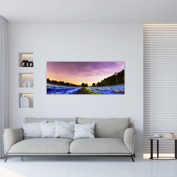 Tablou cu câmp colorat (120x50 cm)