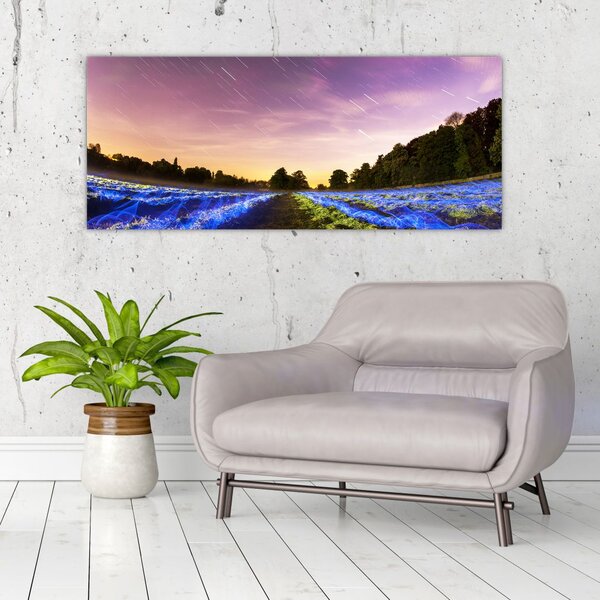 Tablou cu câmp colorat (120x50 cm)