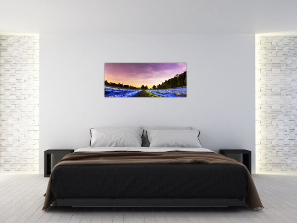 Tablou cu câmp colorat (120x50 cm)