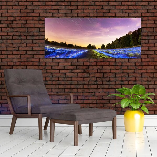 Tablou cu câmp colorat (120x50 cm)