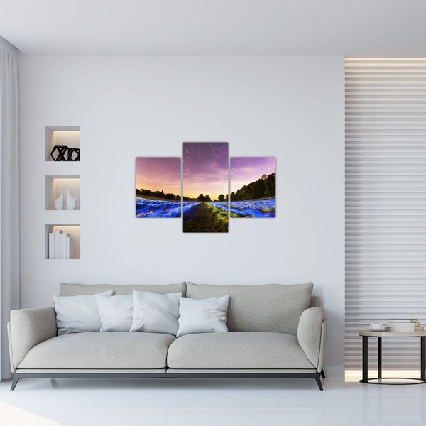 Tablou cu câmp colorat (90x60 cm)