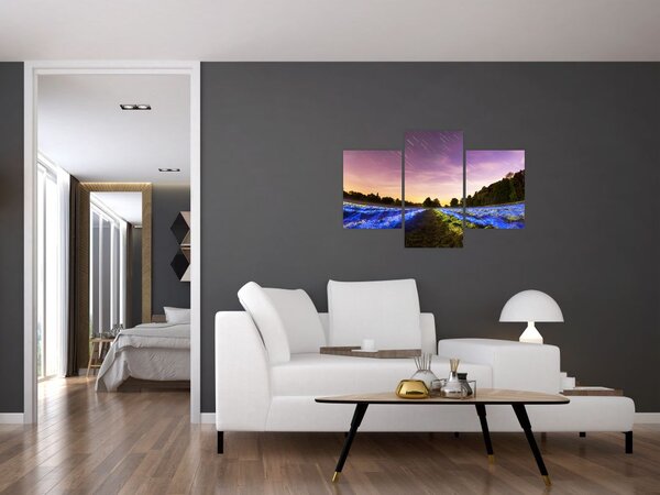 Tablou cu câmp colorat (90x60 cm)
