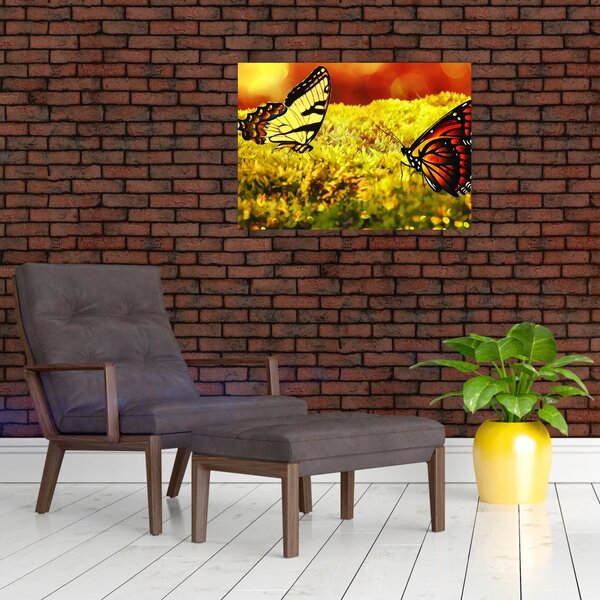 Tablou cu fluturi (70x50 cm)