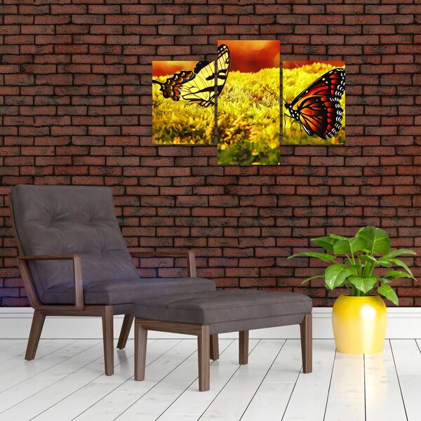 Tablou cu fluturi (90x60 cm)