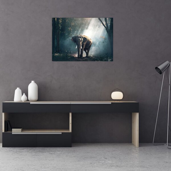 Tablou cu elefant în djunglă (70x50 cm)