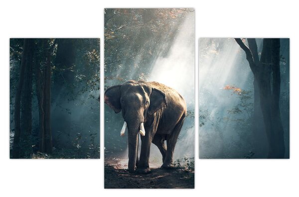 Tablou cu elefant în djunglă (90x60 cm)