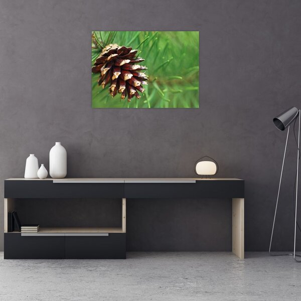 Tablou cu con (70x50 cm)