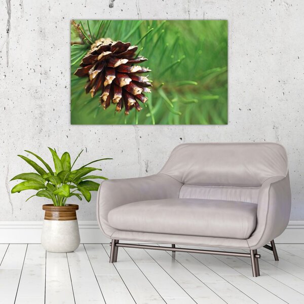 Tablou cu con (90x60 cm)