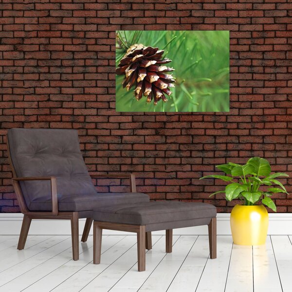 Tablou cu con (70x50 cm)