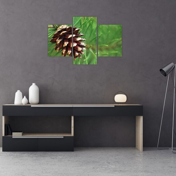 Tablou cu con (90x60 cm)