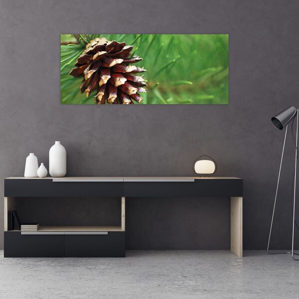 Tablou cu con (120x50 cm)