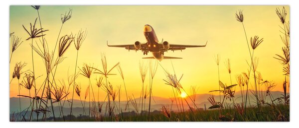 Tablou cu avion zburând (120x50 cm)