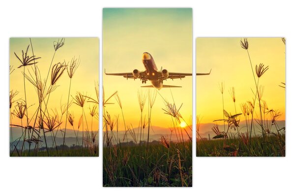 Tablou cu avion zburând (90x60 cm)