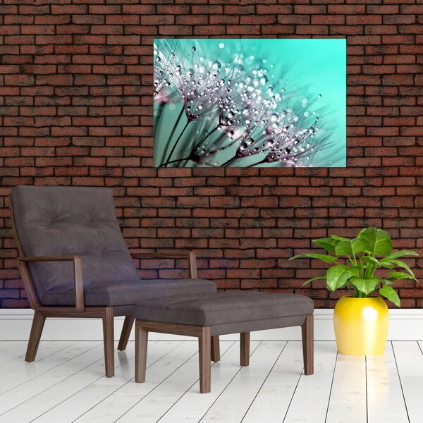 Tablou - planta cu rouă (90x60 cm)