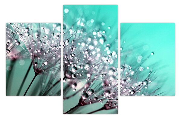 Tablou - planta cu rouă (90x60 cm)
