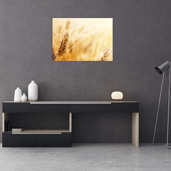 Tablou- detaliu cu (70x50 cm)