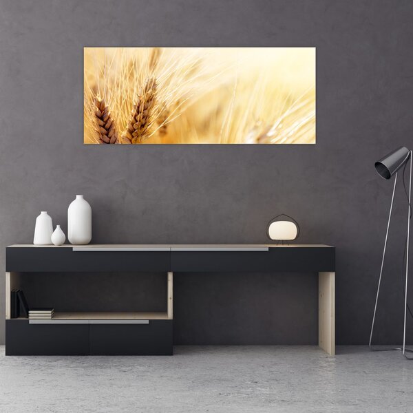 Tablou- detaliu cu (120x50 cm)