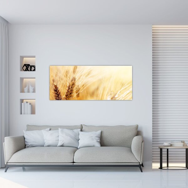Tablou- detaliu cu (120x50 cm)