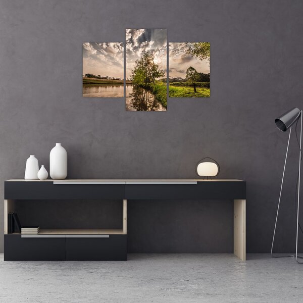 Tablou naturii cu raze de soae (90x60 cm)