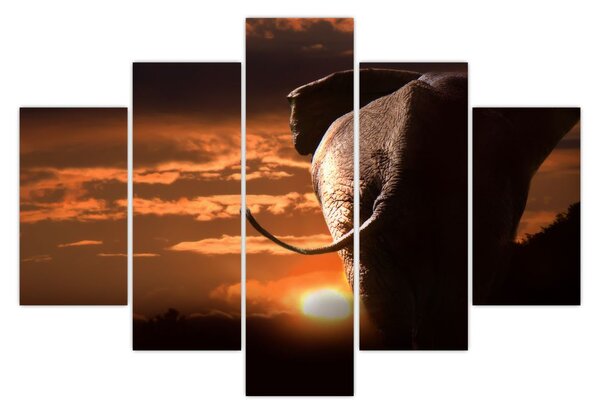 Tablou cu elefant (150x105 cm)