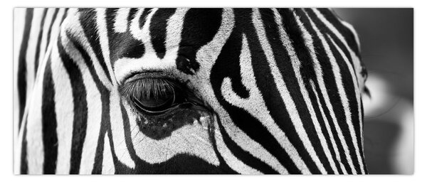 Tablou cu zebră (120x50 cm)