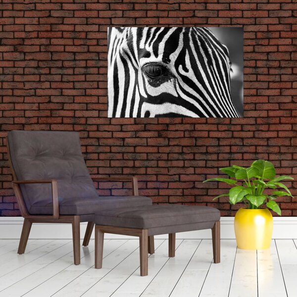 Tablou cu zebră (90x60 cm)