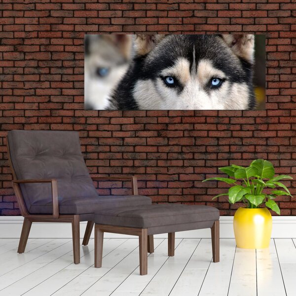Tablou cu câinele husky (120x50 cm)