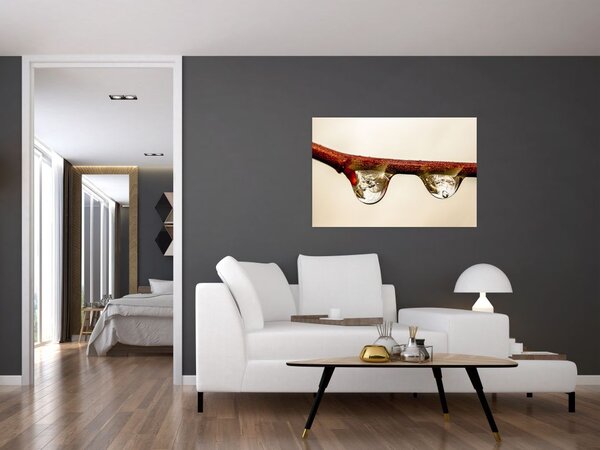 Tablou cu picături de apă pe creangă (90x60 cm)