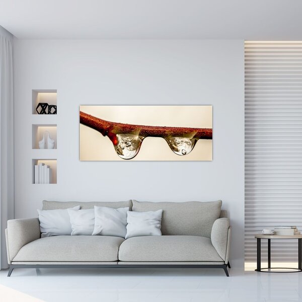 Tablou cu picături de apă pe creangă (120x50 cm)