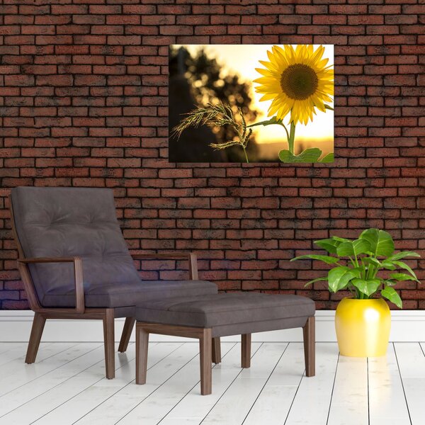 Tablou cu floarea soarelui (70x50 cm)