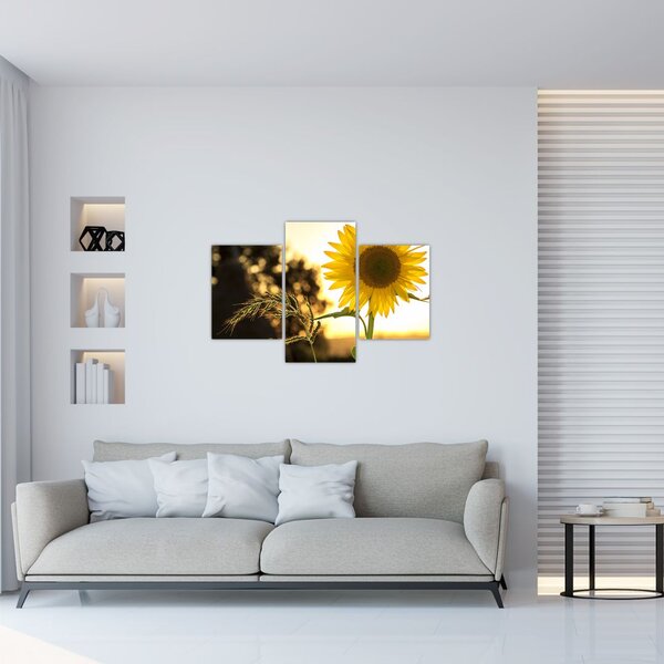 Tablou cu floarea soarelui (90x60 cm)