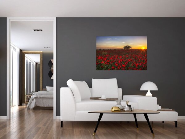 Tablou cu lunca și macii (90x60 cm)