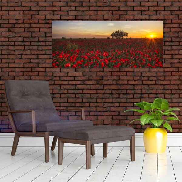 Tablou cu lunca și macii (120x50 cm)