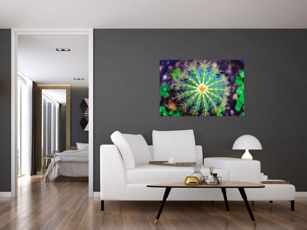 Tablou cu cactus (90x60 cm)