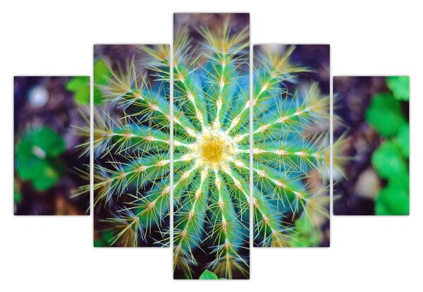 Tablou cu cactus (150x105 cm)