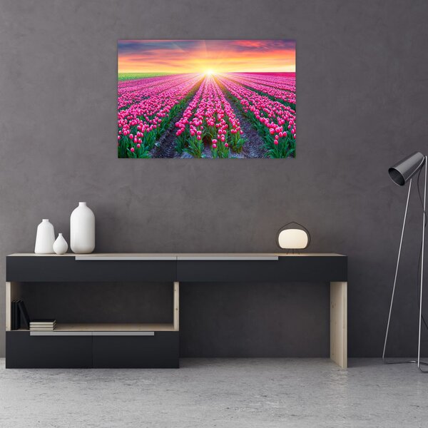 Tablou cu câmp de lalele cu soare (90x60 cm)