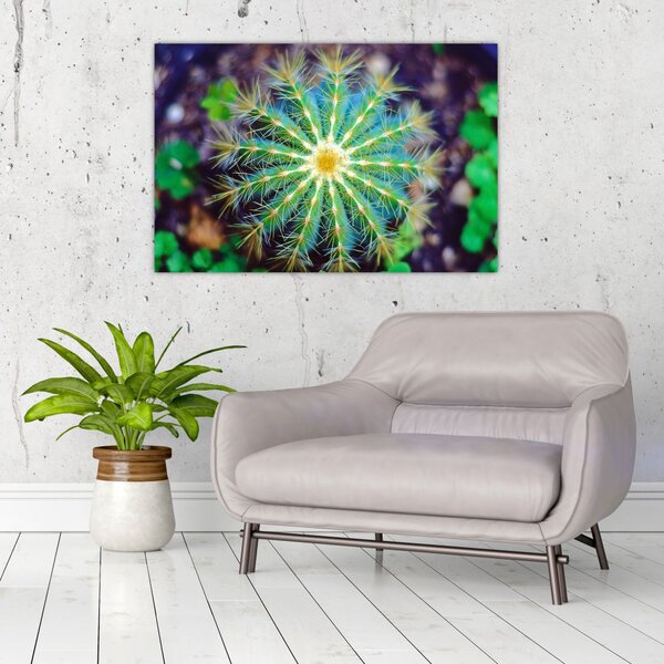 Tablou cu cactus (90x60 cm)
