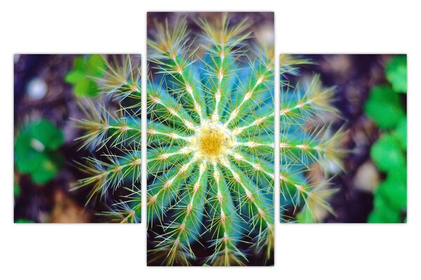 Tablou cu cactus (90x60 cm)