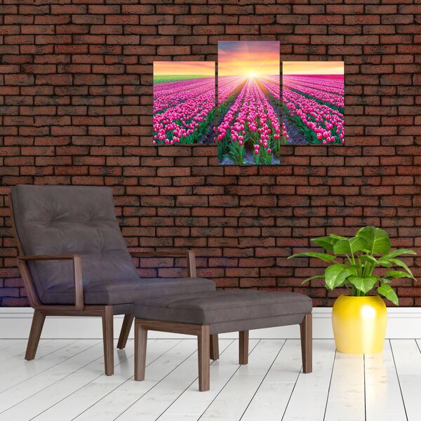 Tablou cu câmp de lalele cu soare (90x60 cm)