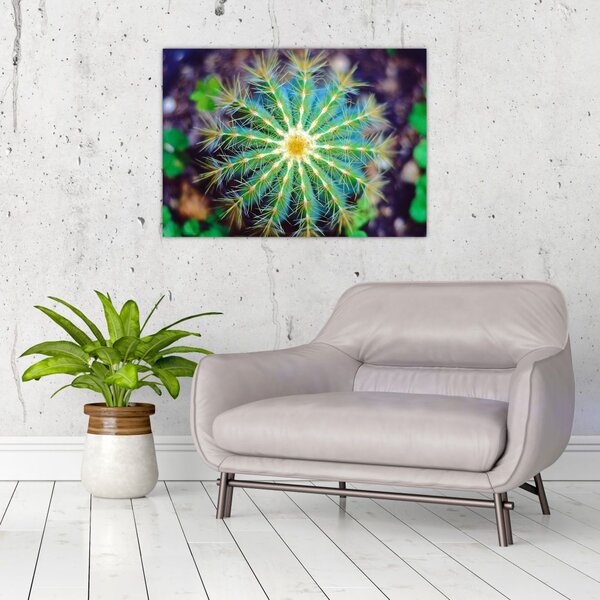 Tablou cu cactus (70x50 cm)