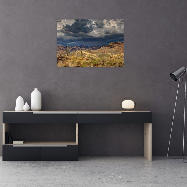 Tablou - cactușii în natură (70x50 cm)