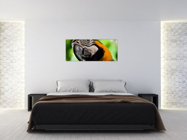 Tablou cu papagal (120x50 cm)