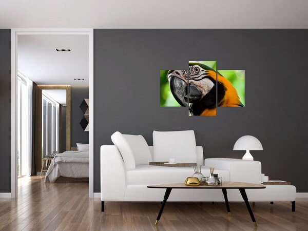 Tablou cu papagal (90x60 cm)