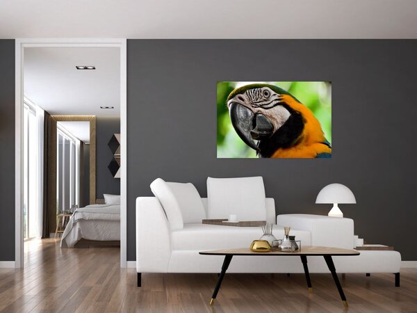 Tablou cu papagal (90x60 cm)