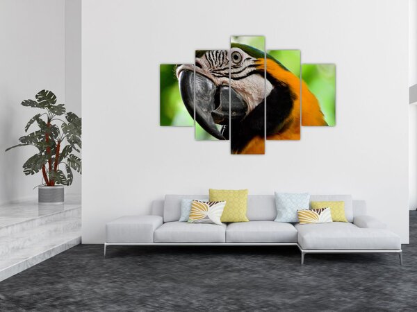 Tablou cu papagal (150x105 cm)